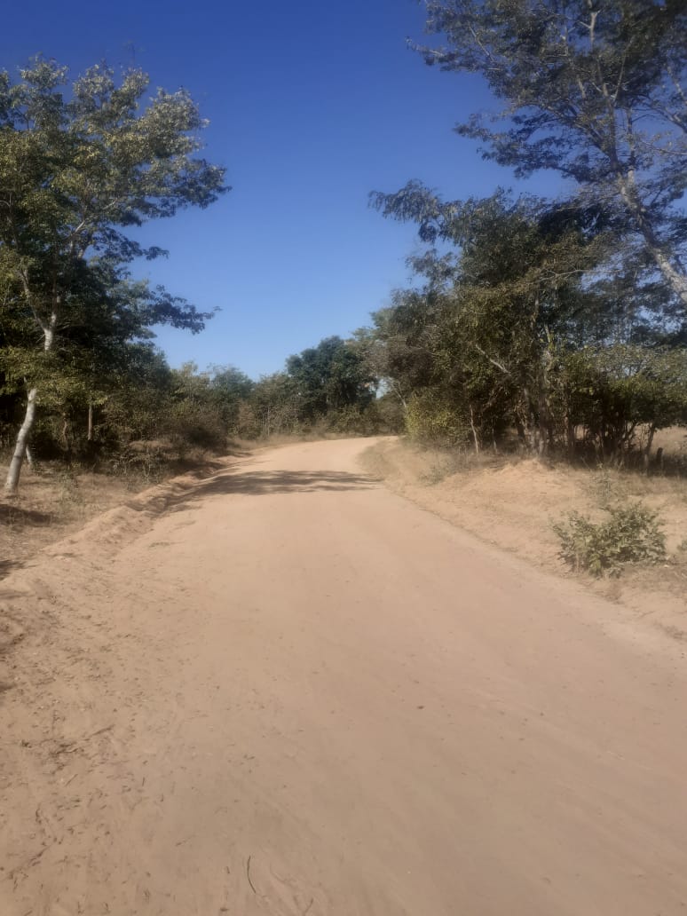 Vumba Mountains Tourism
